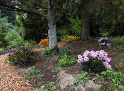 arboretum_05