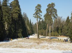 arboretum_06
