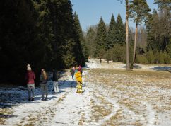 arboretum_07
