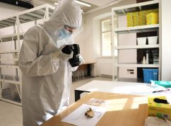 Po 60 letech se vrátí do krypty ostatky Jindřicha z Lipé, zkoumali je vědci