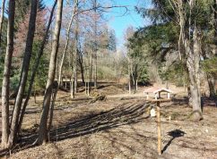bledule_TZ_7_pohled na bleduliště od rybníka