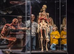 body-worlds_visitor-exhibit-p0a9551