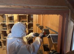 holubnik ve vazebni veznici_foto sirka_zdroj Magistrat mesta Brna (4)