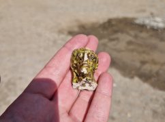 Archeologové pod budoucím JKC v Brně našli pozůstatky středověkých domů