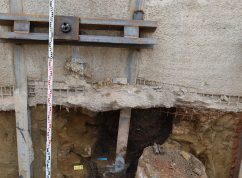 Archeologové našli v Židenicích pozůstatky čamrdářství - výrobny knoflíků