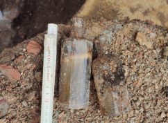 Archeologové našli v Židenicích pozůstatky čamrdářství - výrobny knoflíků