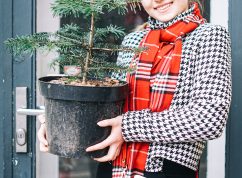 Vánoční stromek v květináči? Nadace je do brněnských domácností připravuje skoro třicet let