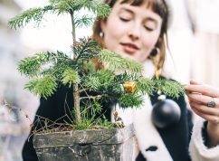 Vánoční stromek v květináči? Nadace je do brněnských domácností připravuje skoro třicet let