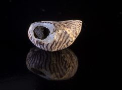 kaj-nalez-ulity
