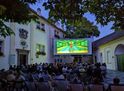 letni kino (2)