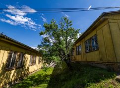 likusak_kravi_hora4_mmb