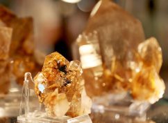 Do Brna se sjede téměř 300 vystavovatelů minerálů, fosilií, šperků či přírodnin