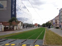 novesady2