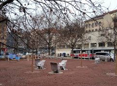 novesady6