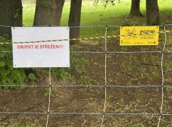 V brněnských Žabovřeskách mají jasno, sekačku na trávu zaskakují ovečky