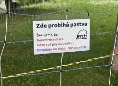 V brněnských Žabovřeskách mají jasno, sekačku na trávu zaskakují ovečky