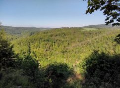 Vyhlášení nové přírodní rezervace Nad Švédskou cestou