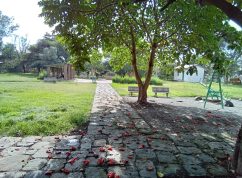park_bole2