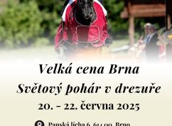 Prestižní mezinárodní závody v drezuře – CDI-W Brno