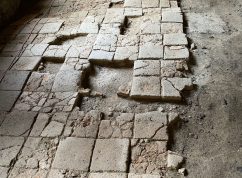 rosa_coeli_archeologicke_nalezy_dlazba