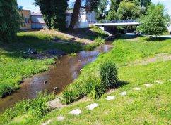 stara-ponavka_foto-martin-sedlak