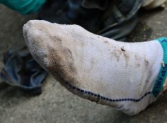 Záchranáři vytáhli z Brněnské přehrady mrtvého muže, policie pátrá po totožnosti