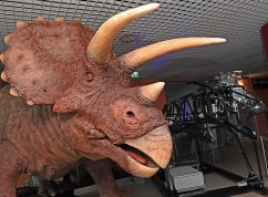triceratops_01