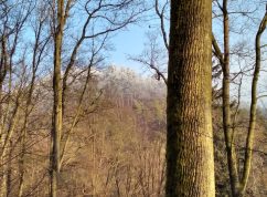 Vyhlášení nové přírodní rezervace Nad Švédskou cestou
